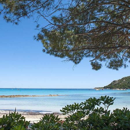 Résidence Mobydick Porto-Vecchio  Exteriér fotografie